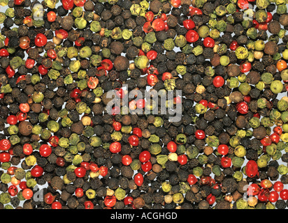 Pepe misto semi di vari colori rosso verde nero Foto Stock