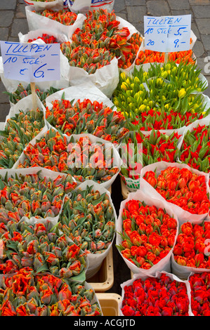 Fiori a Türkenmarkt mercato turco nel quartiere Kreuzberg Berlino Germania UE Foto Stock