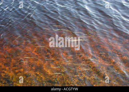 Di riflesso, rifratta e luce diffratta creare forme e modelli su un nuovo serbatoio di acqua. Foto Stock