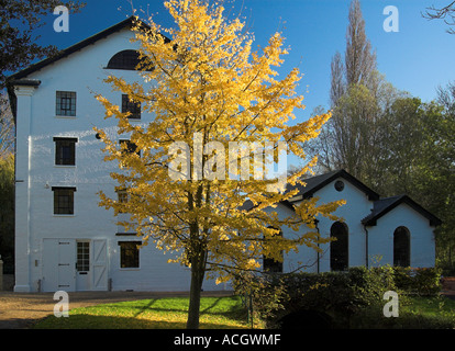 Autunno, grigi Mill, Kelvedon, Essex Foto Stock