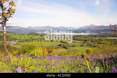 BONNIE bonnie banks di Loch Lomond, Scotland, Regno Unito Foto Stock