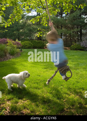 Bambino oscillare da una corda con il suo cane Foto Stock