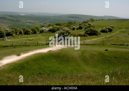 Vista da anello Cissbury Età del Ferro hill fort sulla South Downs Foto Stock