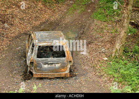 Bruciata auto nel bosco England Regno Unito Foto Stock