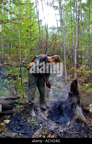 Forest Fire fighter pattugliamento estingue un incendio di foresta spruzza acqua da una vescica sulla sua schiena a radici di albero Foto Stock