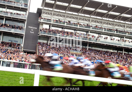 Cavalli al traguardo (1) - York Racecourse Foto Stock