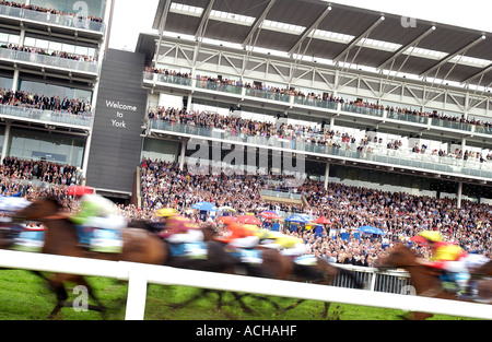 Cavalli al traguardo (2) - York Racecourse Foto Stock