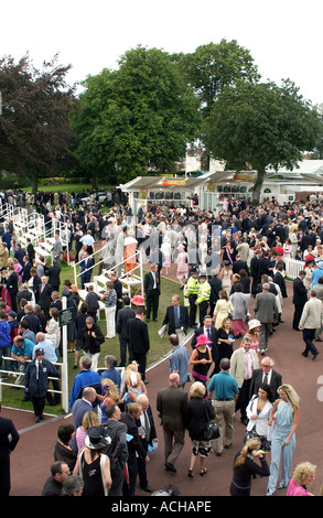 Gli scommettitori a York ippodromi (3) Foto Stock