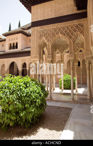 Il Cortile dei leoni - dettaglio della parete carving decorazioni in Alhambra Granada Andalusia Spagna Foto Stock