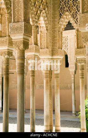 Il Cortile dei leoni - dettaglio della parete carving decorazioni in Alhambra Granada Andalusia Spagna Foto Stock