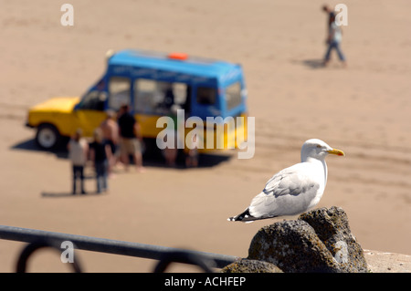 Tenby Beach, seagull e sei ruote crema di ghiaccio van, Pembrokeshire West Wales UK Foto Stock