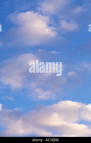 Altocumulus nuvole nel cielo blu vicino al tramonto Foto Stock