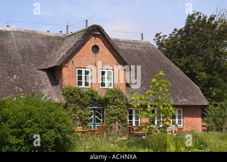 Tipica con tetto in paglia in casa Keitum, Sylt, Schleswig Holstein, Germania Foto Stock