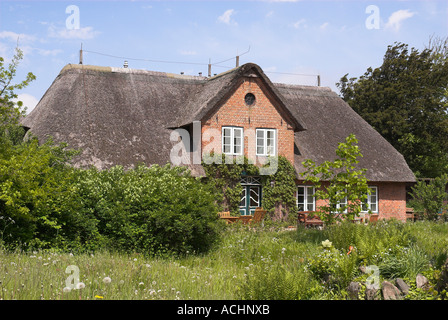 Tipica con tetto in paglia in casa Keitum, Sylt, Schleswig Holstein, Germania Foto Stock