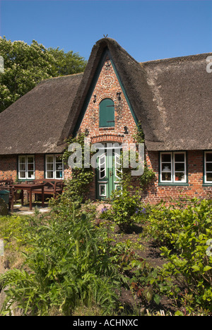 Tipica con tetto in paglia in casa Keitum, Sylt, Schleswig Holstein, Germania Foto Stock