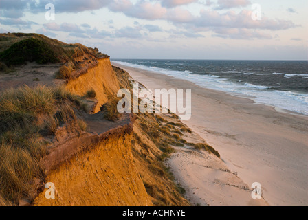 Cliff Rotes Kliff presso la costa occidentale di Sylt al tramonto, Schleswig Holstein, Germania Foto Stock