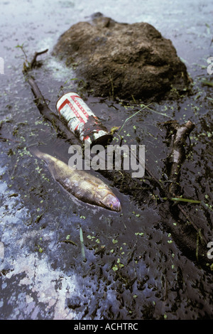 Corpo inquinato di acqua con la spazzatura e i pesci morti Foto Stock