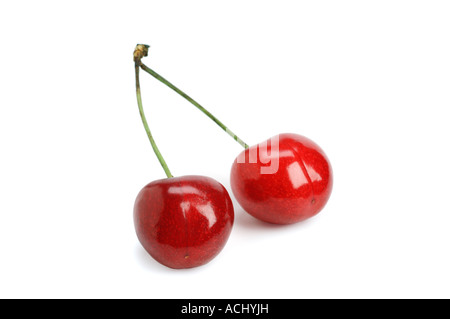 Due le ciliegie su sfondo bianco Foto Stock