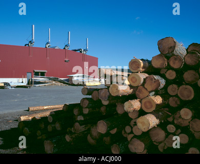 Moderno impianto di lavorazione del legno vicino a Lycksele, Västerbottens Län, Svezia. Foto Stock