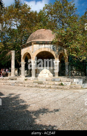 La Plateia del Platano di Ippocrate di Kos, sull'isola greca di Kos. Foto Stock