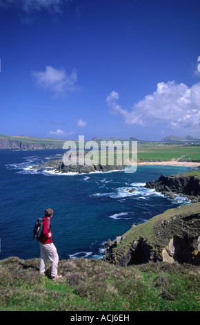 Walker guardando verso Clogher Spiaggia dalla testa di Clogher. Penisola di Dingle, nella contea di Kerry, Irlanda. Foto Stock