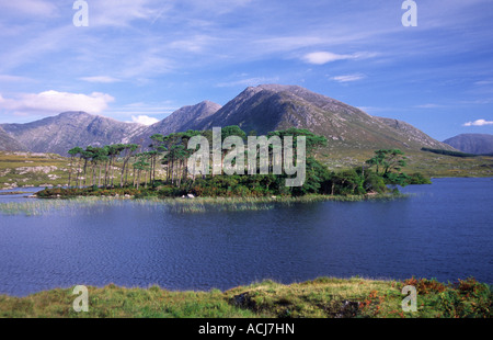 Vista attraverso il Lough Derryclare il Twelve Bens montagne, Connemara, nella contea di Galway, Irlanda. Foto Stock