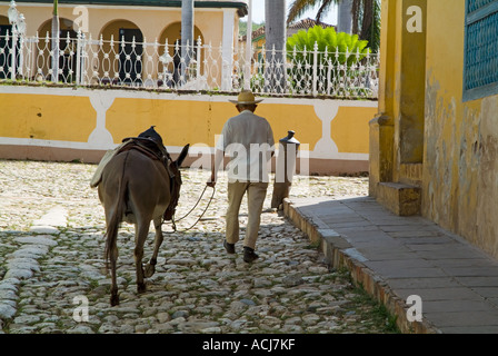 Uomo che cammina su Plaza Mayor con un asino per il noleggio in Trinidad, Cuba. Foto Stock