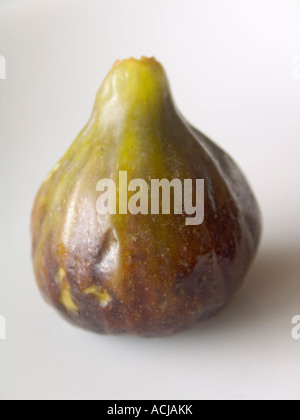 Suggestivo comune fig (Ficus carica), frutta su un piatto bianco sullo sfondo Foto Stock