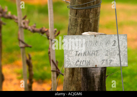 Il vigneto con un cartello che diceva che Tannat è piantato nel 2002 con il clone 717 Bodega Bouza Cantina, Canelones, Montevideo, Uruguay Sud America Foto Stock