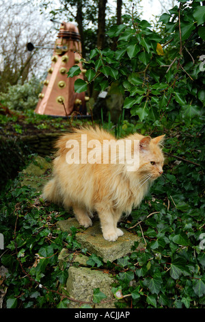 Pic martin phelps 25 03 06 lacock spaventapasseri trail Foto Stock