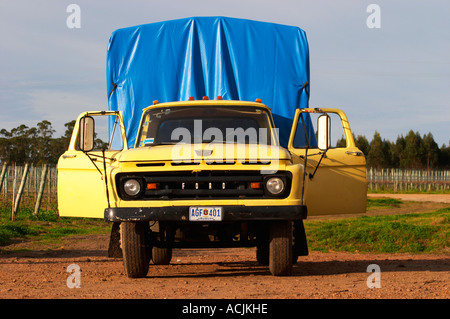 Un vecchio Ford Truck, giallo con le porte aperte e con un luminoso blu telone di copertura sul retro, nella vigna. Vinedos y Bodega Filgueira Cantina Cuchilla Verde, Canelones, Montevideo, Uruguay Sud America Foto Stock