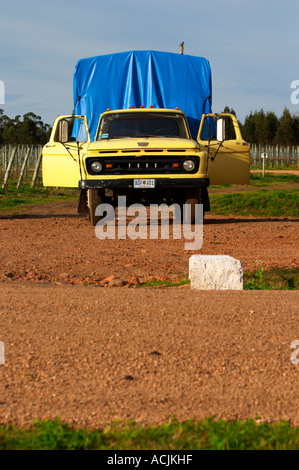 Un vecchio Ford Truck, giallo con le porte aperte e con un luminoso blu telone di copertura sul retro, nella vigna. Vinedos y Bodega Filgueira Cantina Cuchilla Verde, Canelones, Montevideo, Uruguay Sud America Foto Stock