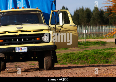 Un vecchio Ford Truck, giallo con le porte aperte e con un luminoso blu telone di copertura sul retro, nella vigna. Vinedos y Bodega Filgueira Cantina Cuchilla Verde, Canelones, Montevideo, Uruguay Sud America Foto Stock