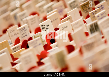 Croci di legno con papaveri sul sono collocate al di fuori dell Abbazia di Westminster per il giorno del ricordo Londra 11 novembre 2006 Foto Stock