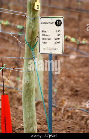 In vigna un cartello che diceva lo Chardonnay Bodega Familia Schroeder Cantina, chiamato anche Sauro, Neuquen, Patagonia, Argentina, Sud America Foto Stock