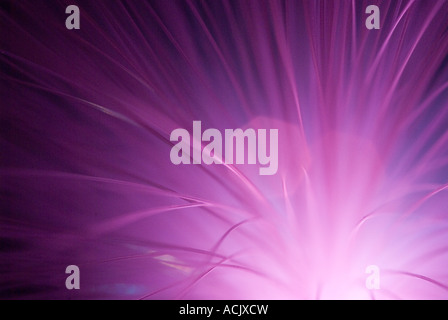 Di luce a fibre ottiche Foto Stock