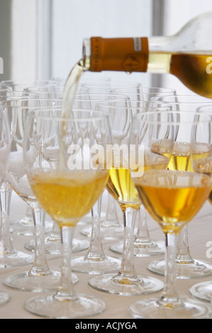 Aperitivo servito nella sala di ingresso, un vetro di colore giallo dorato di Chateau de Cerons versata in un bicchiere da un magnifico butler cameriere Chateau de Cerons (Cérons) Sauternes Gironde Aquitaine Francia Foto Stock