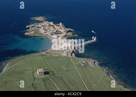Vista aerea di Isla de Tabarca con villaggio Alicante Spagna Foto Stock
