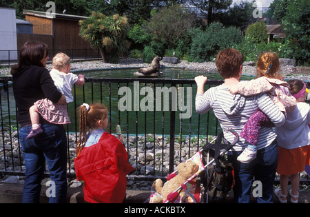Le donne con bambini guardando un leone di mare presso lo zoo di Dublino Phoenix Park di Dublino in Irlanda Foto Stock