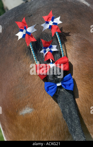 Nastri posteriori, coda intrecciata equina decorazione sulla concorrenza coda di cavallo Clydesdale treccia prua al ECT Agricultural show Scotland UK Foto Stock