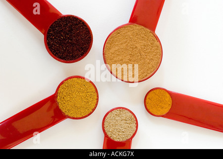 Rosso Cinque misurini riempito con spezie indiane disposti in un cerchio su sfondo bianco Foto Stock