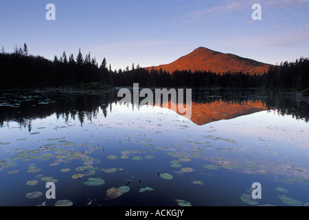 Il picco di avvisatore acustico riflesso nel laghetto sconosciuto, White Mountain National Forest, New Hampshire Foto Stock