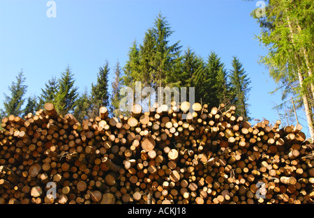 Logs abbattuto dalla foresta Tywi al Comune Abergwesyn Powys Wales UK Foto Stock