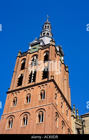 Dettaglio St Jans Cattedrale s Hertogenbosch Olanda Foto Stock