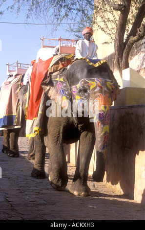 Gli elefanti discesa dopo il trasporto di turisti fino alla rampa di Forte Amber vicino a Jaipur India Rajasthan Foto Stock