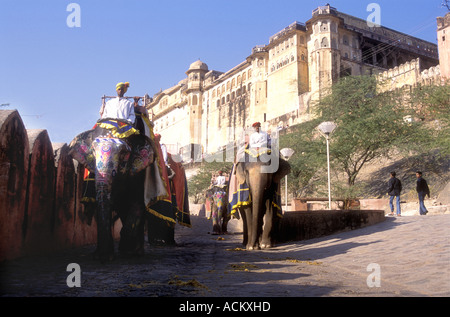 Gli elefanti discesa dopo il trasporto di turisti fino alla rampa di Forte Amber vicino a Jaipur India Rajasthan Foto Stock