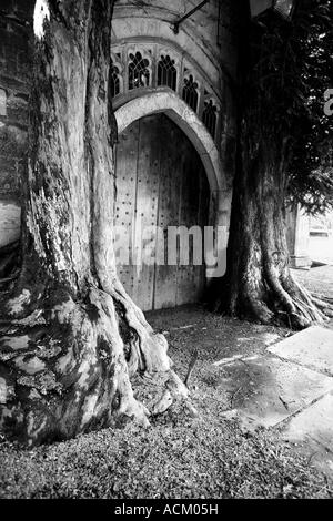 Due yew alberi che circondano la chiesa porta a Stow on the Wold , Cotswolds , in Inghilterra. Monocromatico Foto Stock