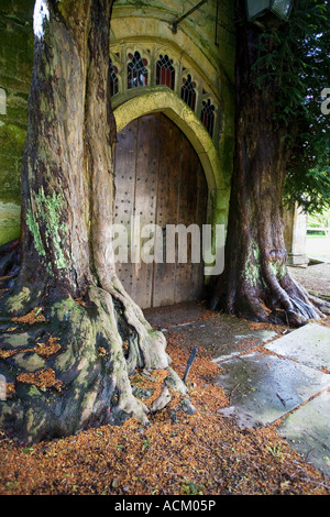 Due alberi di tasso che circondano San Edward's Chiesa porta nord a Stow on the Wold , Cotswolds , Inghilterra Foto Stock