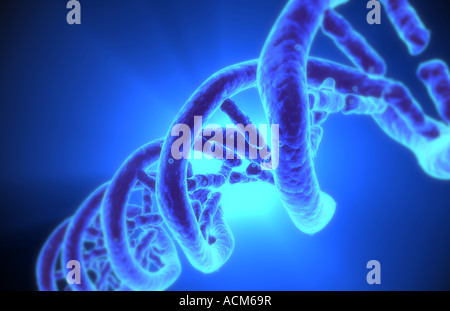 Struttura del DNA Foto Stock