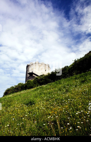 MountBatten Torre. Devon UK Foto Stock